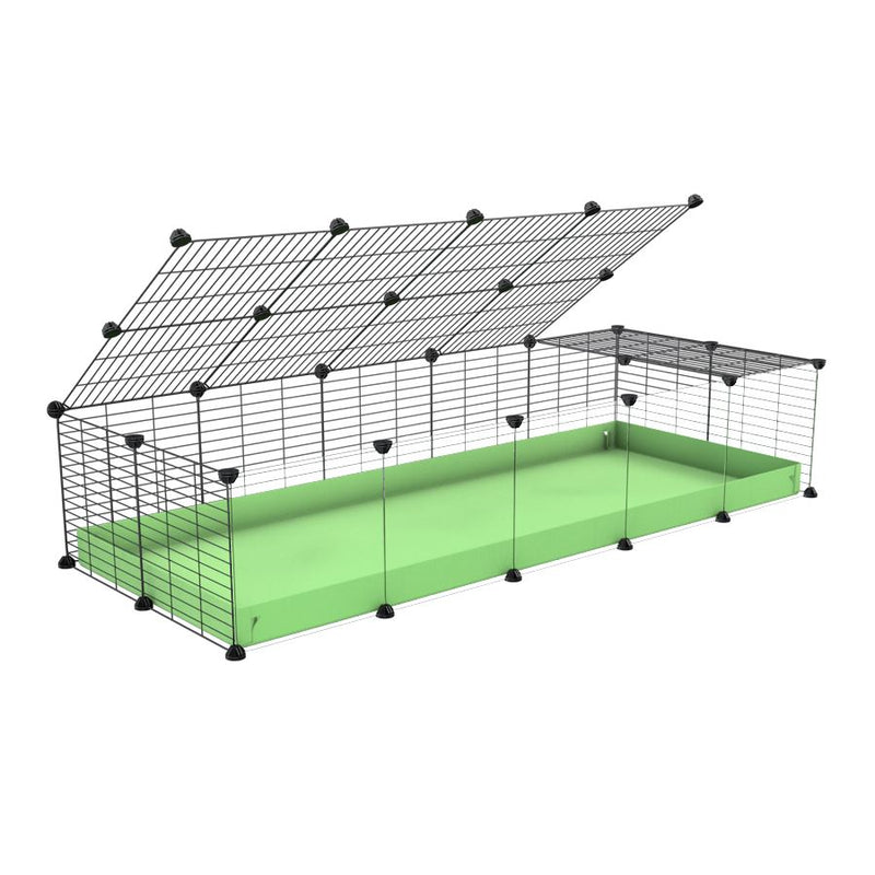 une cavy cage 5x2 pour cochons d'inde avec panneaux transparents en plexiglass avec couvercle coroplast vert pistache et grilles avec barreaux etroits de kavee