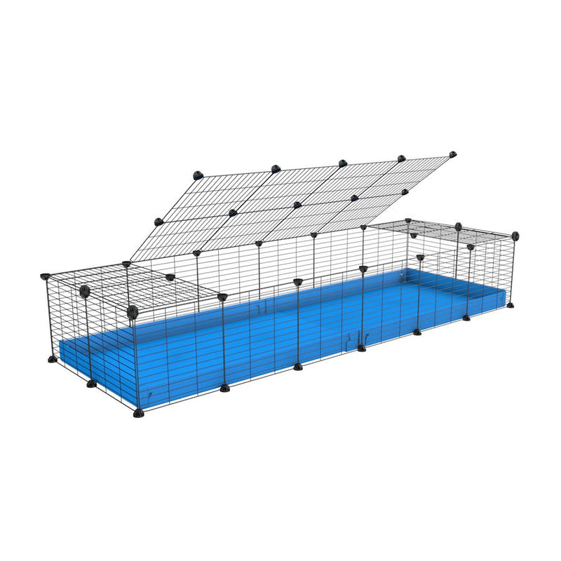 une cavy cage 6x2 pour cochons d'inde avec couvercle coroplast bleu et grilles avec barreaux etroits de kavee